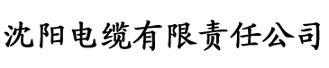 久久精品女人天堂αv麻豆电缆厂logo